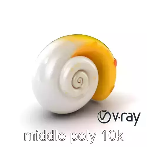 Spiral Seashell Smooth Natural Design model pack