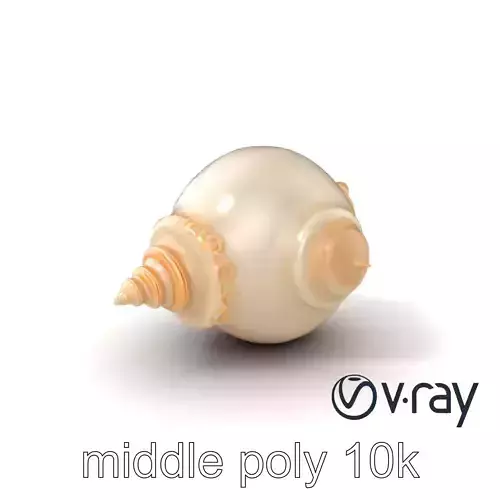 Scalloped Seashell Natural Color model pack