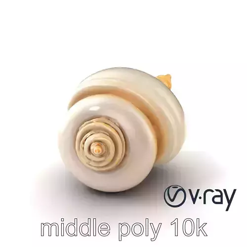 Spiral Seashell Natural Design model pack