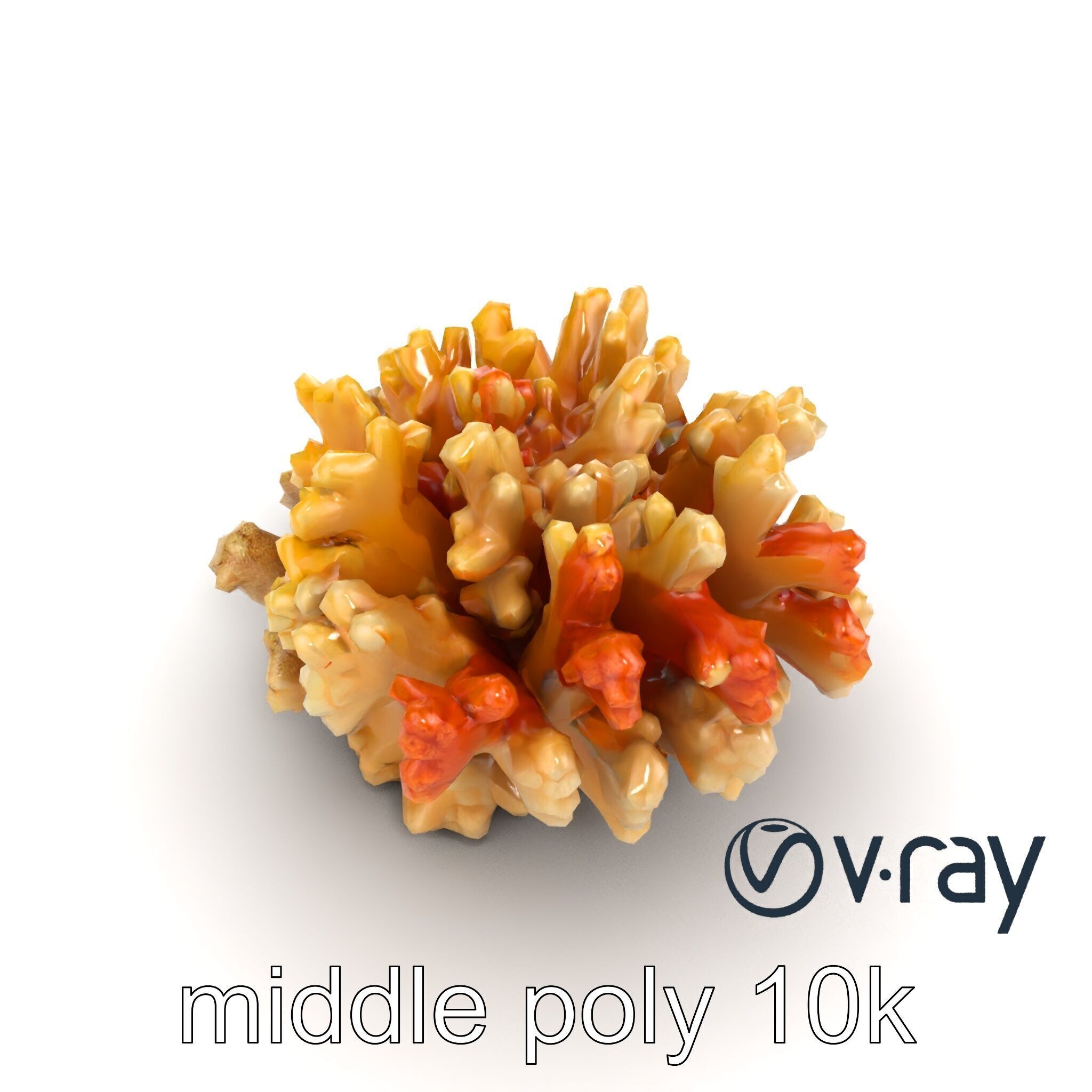 Cluster of Corals with Varied Textures Model Pack Low-poly 3D model_7