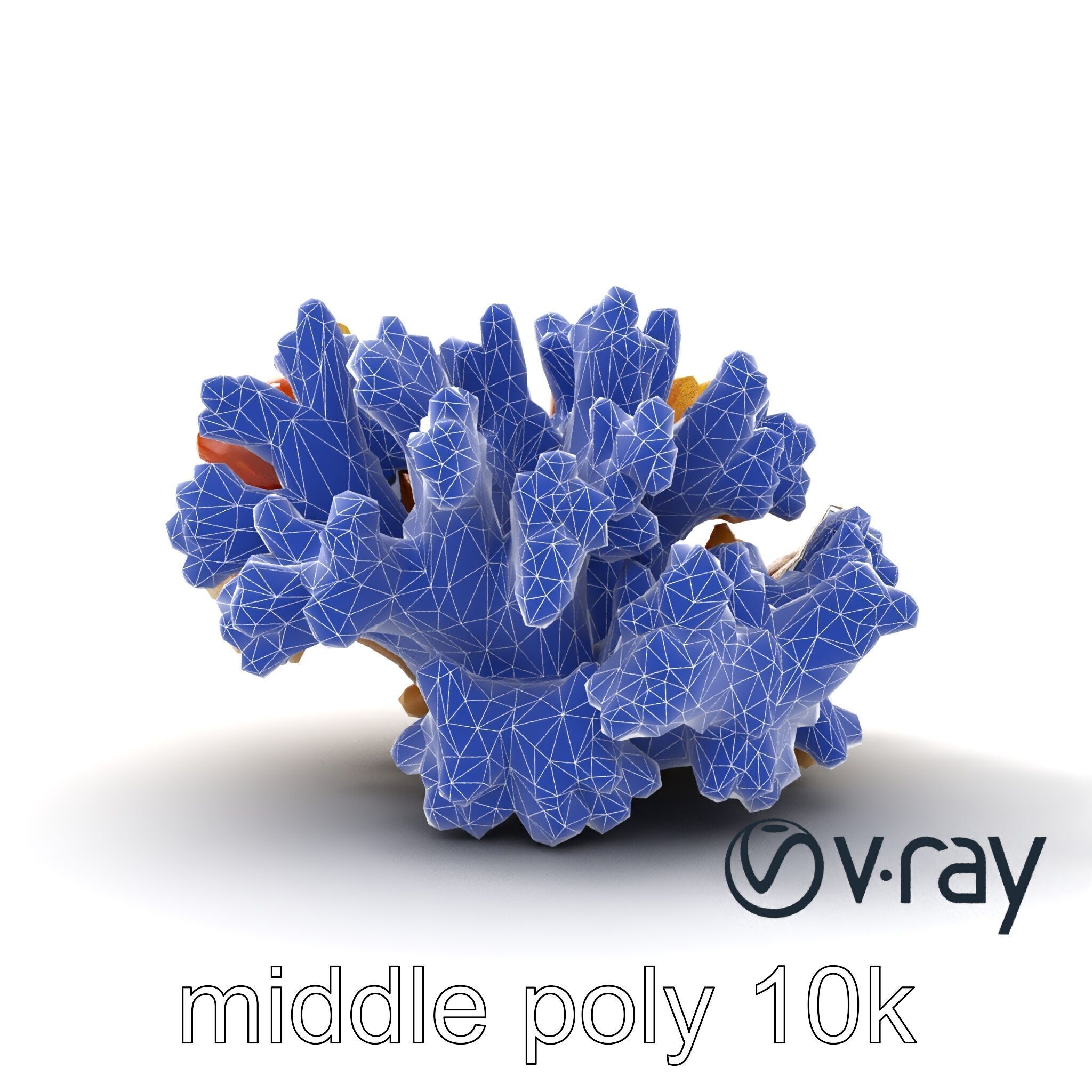 Cluster of Corals with Varied Textures Model Pack Low-poly 3D model_29