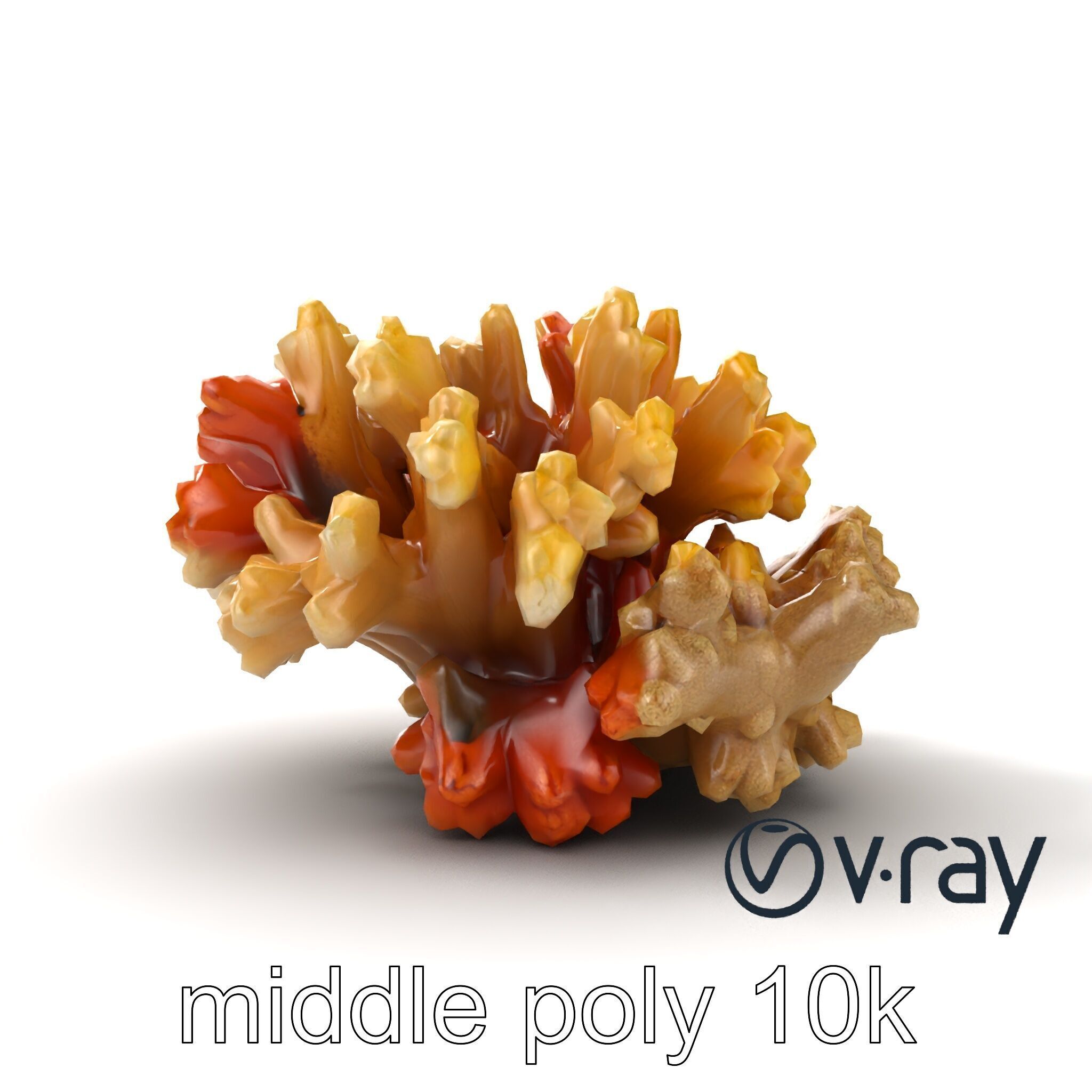 Cluster of Corals with Varied Textures Model Pack Low-poly 3D model_15