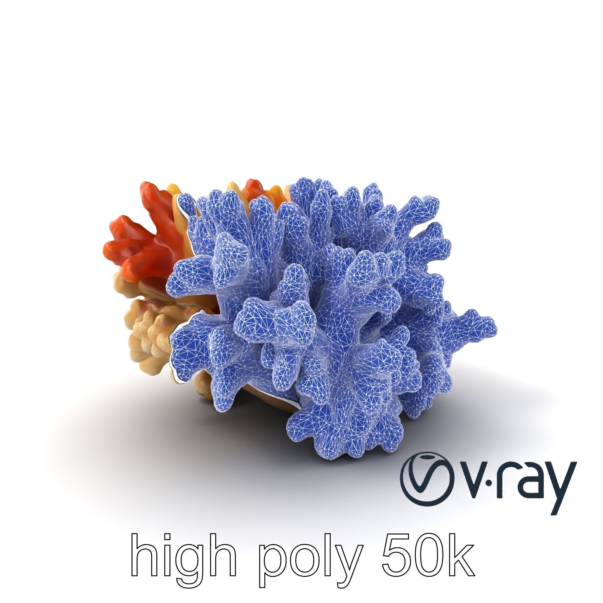 Cluster of Corals with Varied Textures Model Pack Low-poly 3D model_21