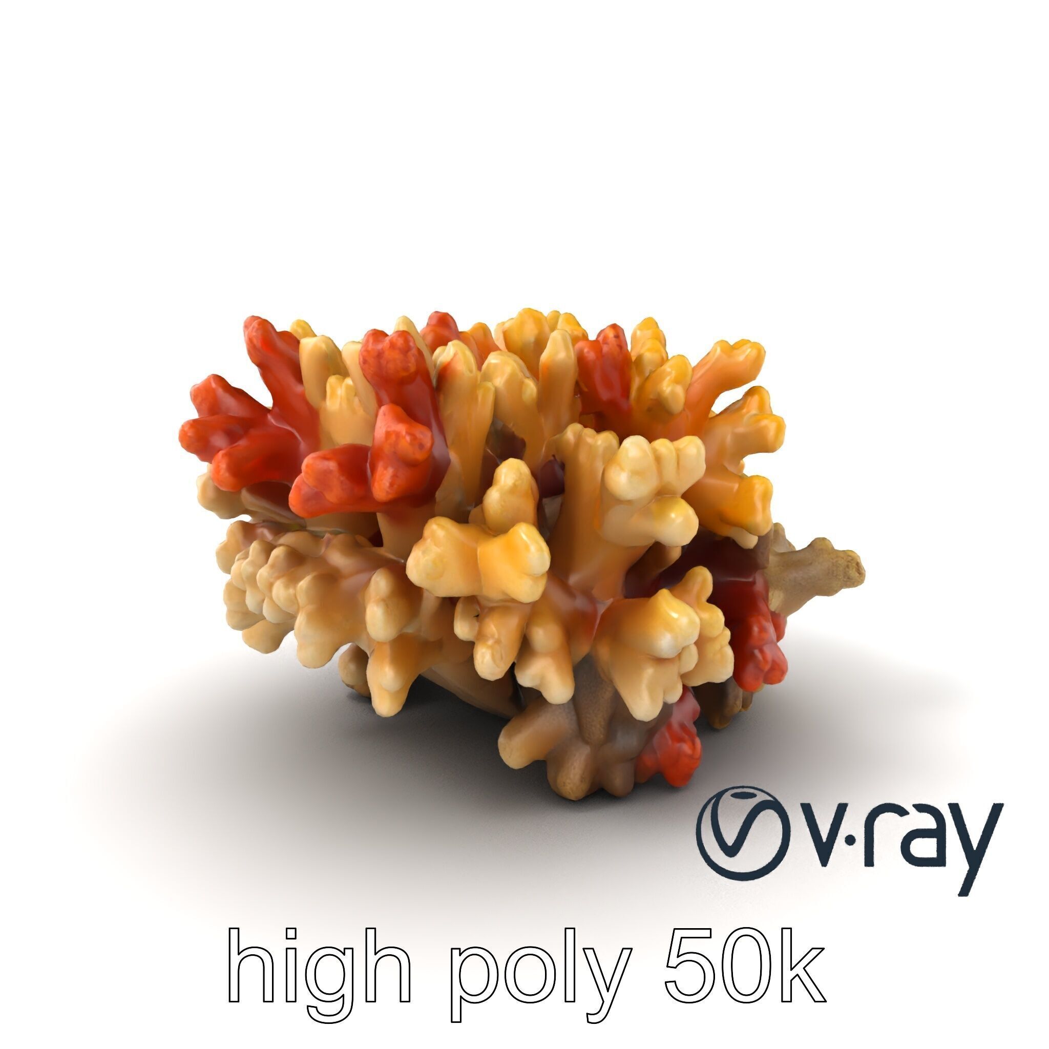 Cluster of Corals with Varied Textures Model Pack Low-poly 3D model_6
