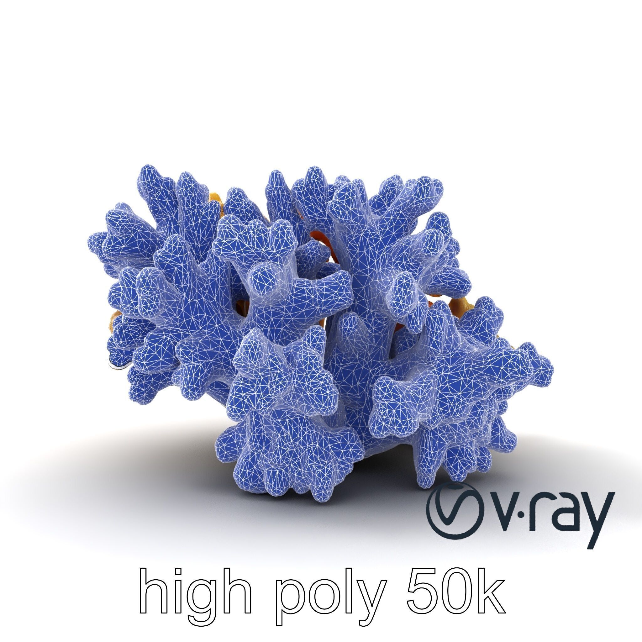 Cluster of Corals with Varied Textures Model Pack Low-poly 3D model_31