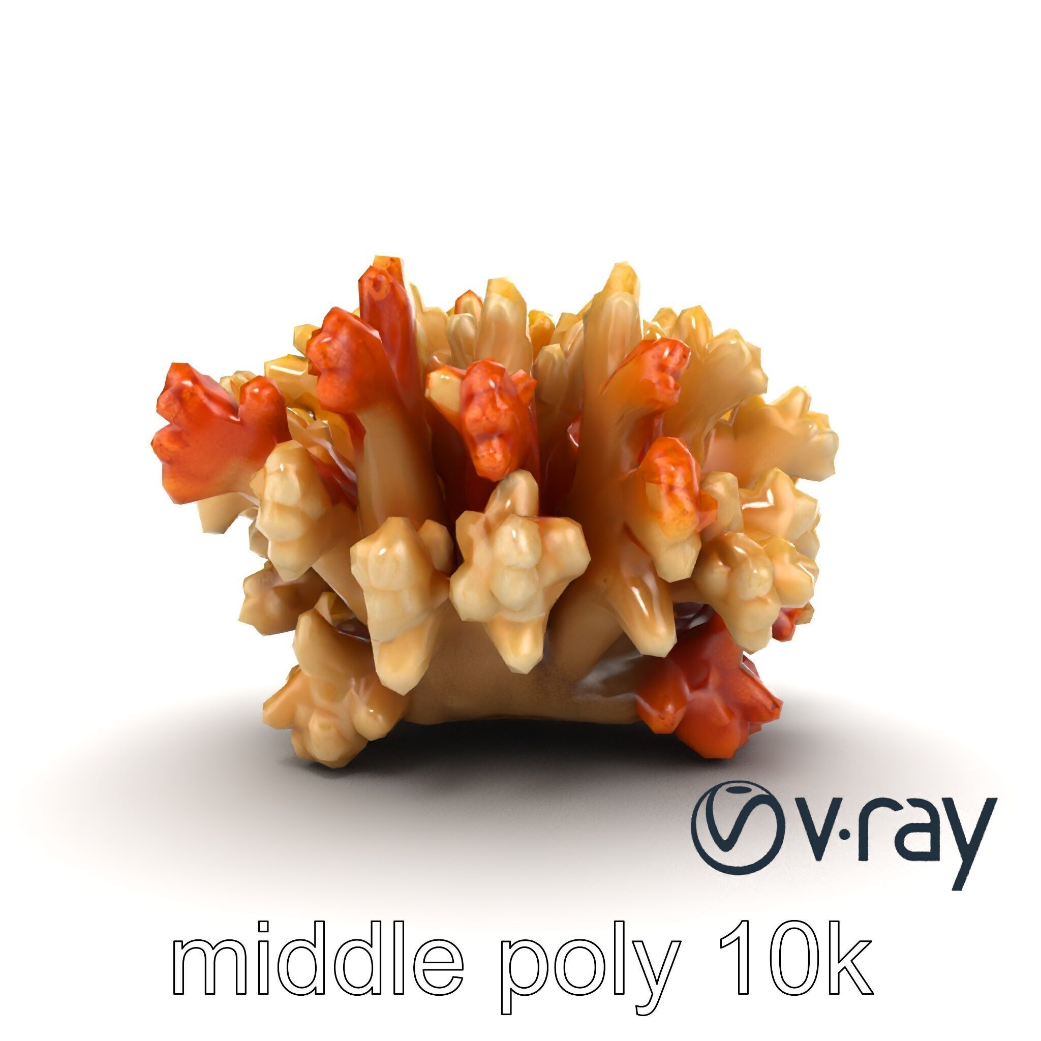 Cluster of Corals with Varied Textures Model Pack Low-poly 3D model_24