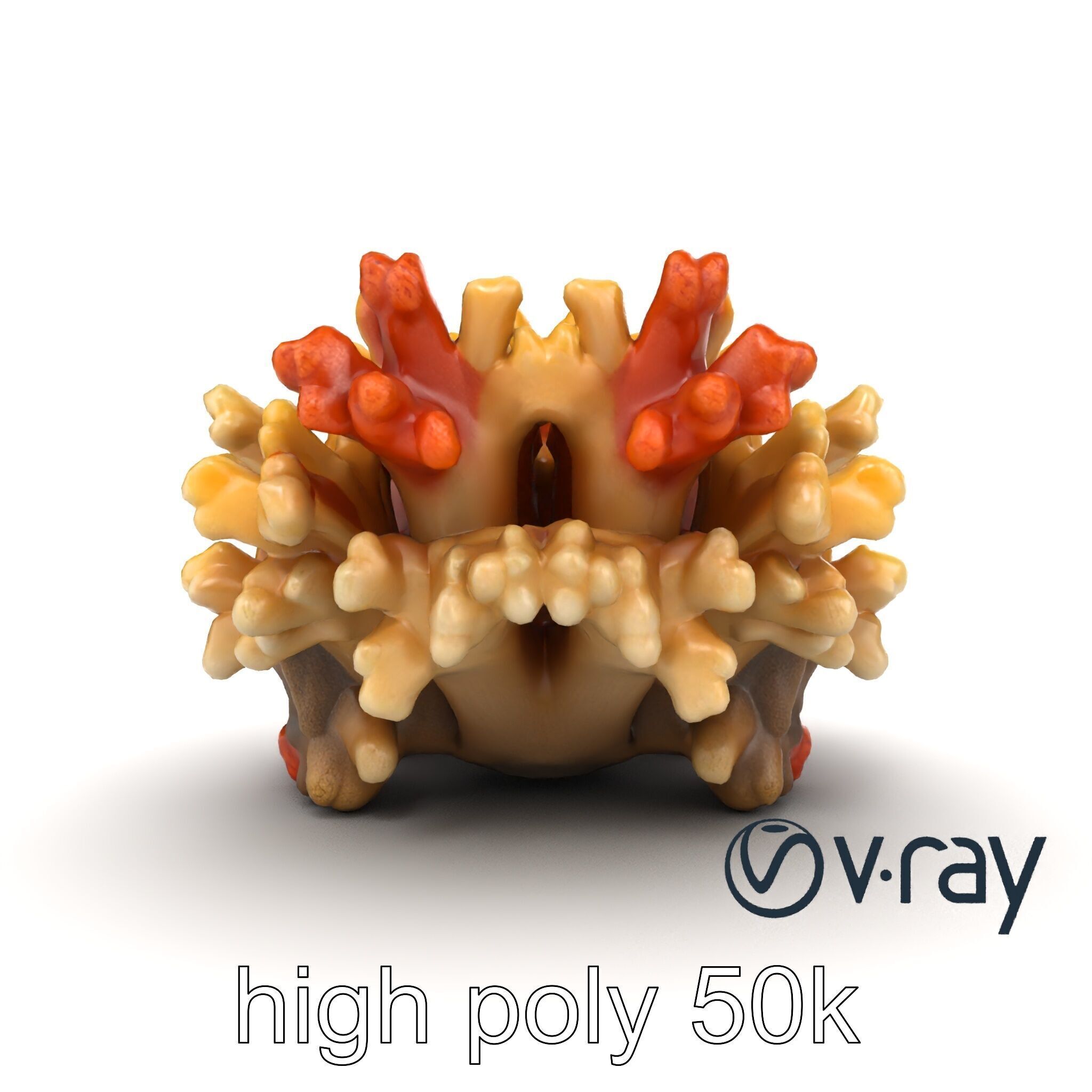 Cluster of Corals with Varied Textures Model Pack Low-poly 3D model_18