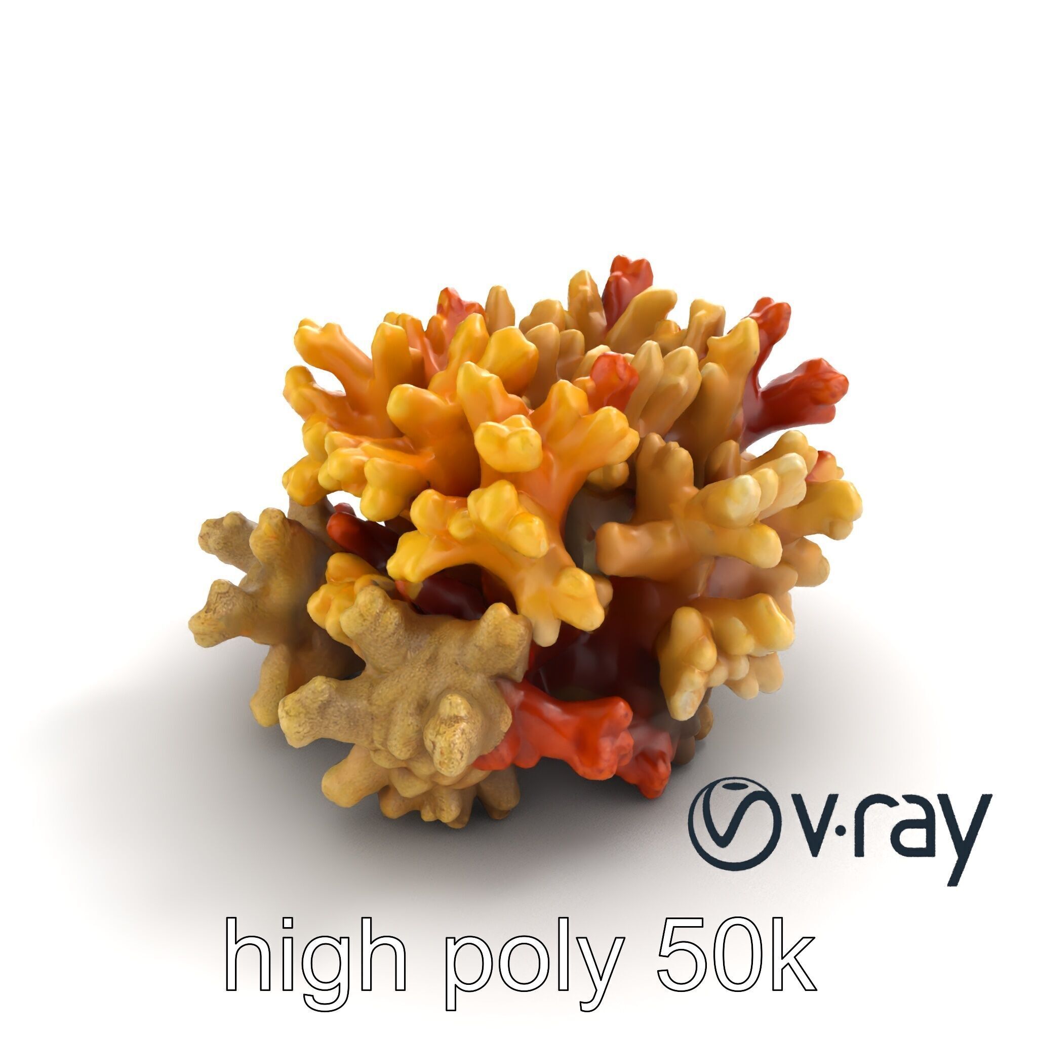 Cluster of Corals with Varied Textures Model Pack Low-poly 3D model_9