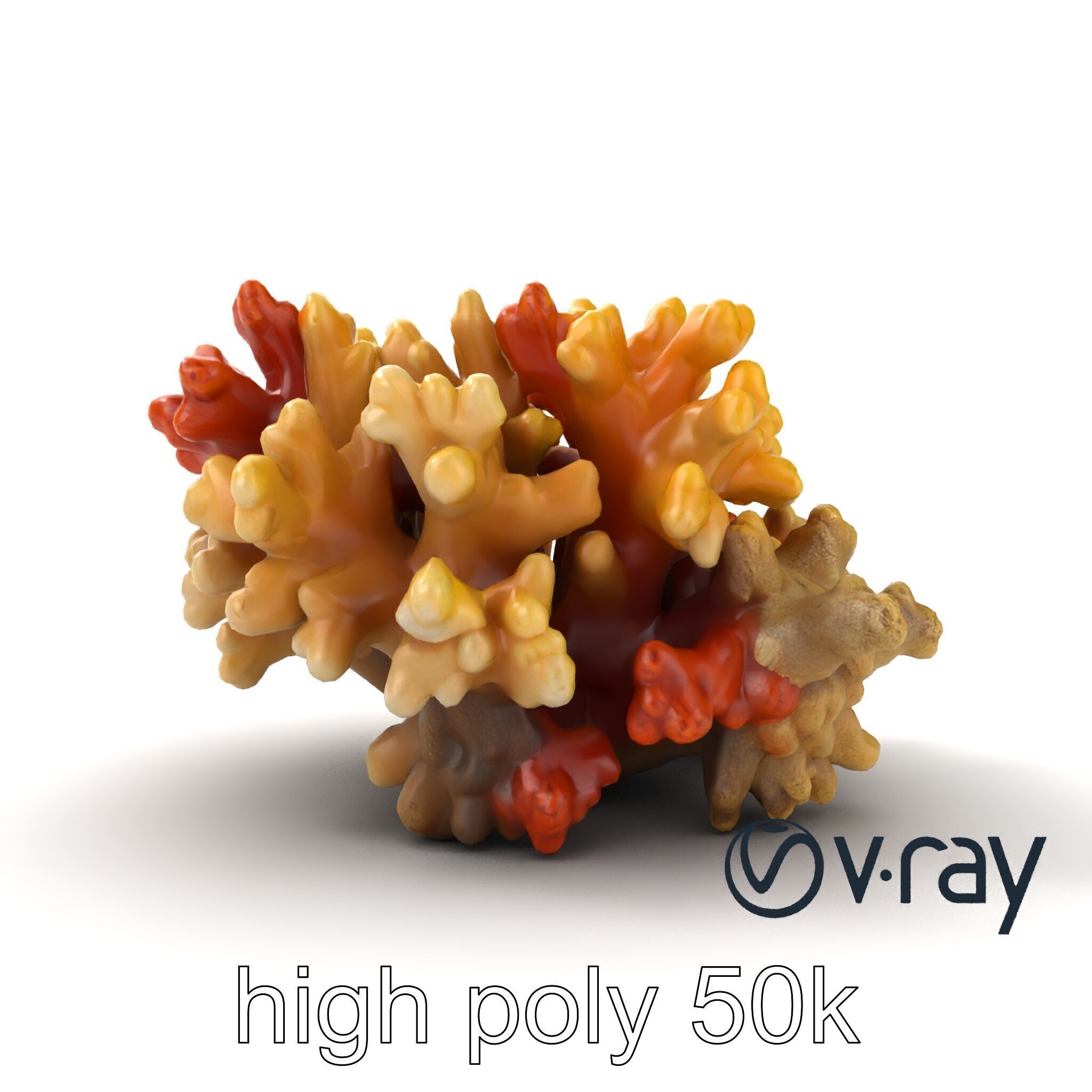 Cluster of Corals with Varied Textures Model Pack Low-poly 3D model_16