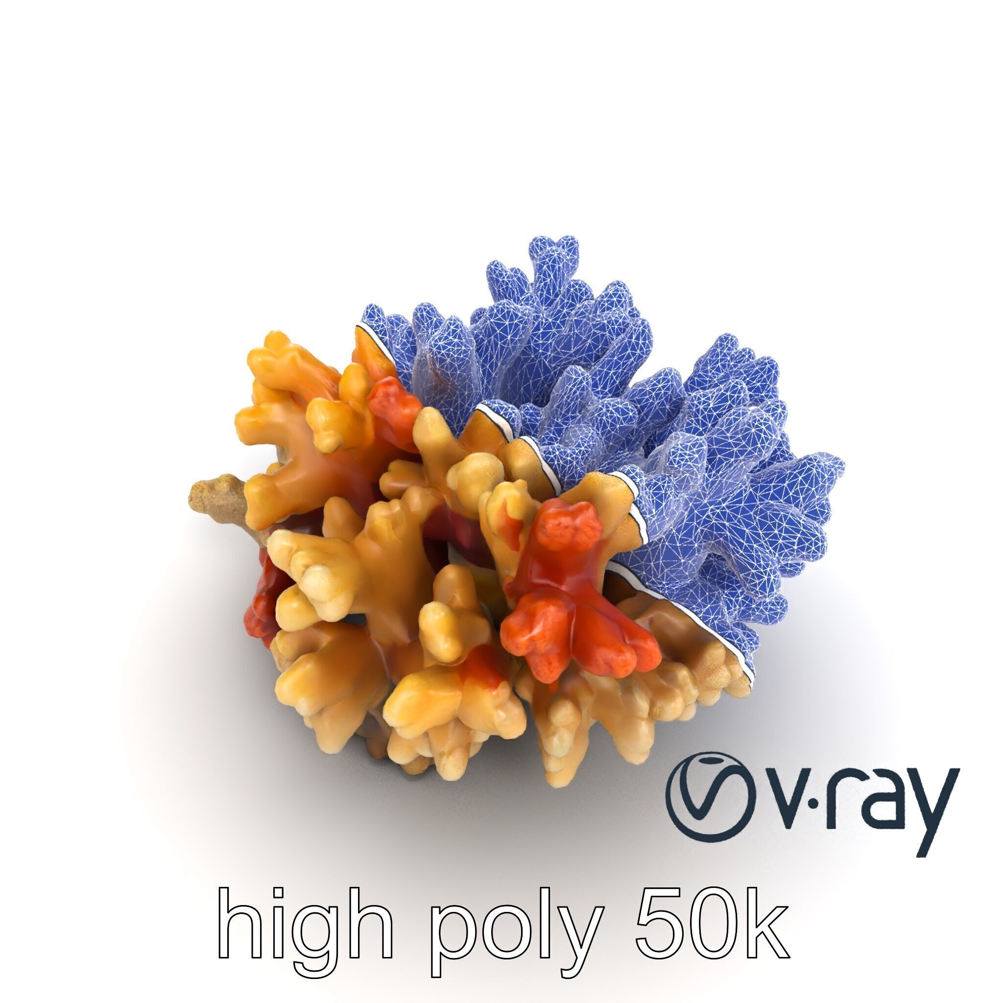Cluster of Corals with Varied Textures Model Pack Low-poly 3D model_19