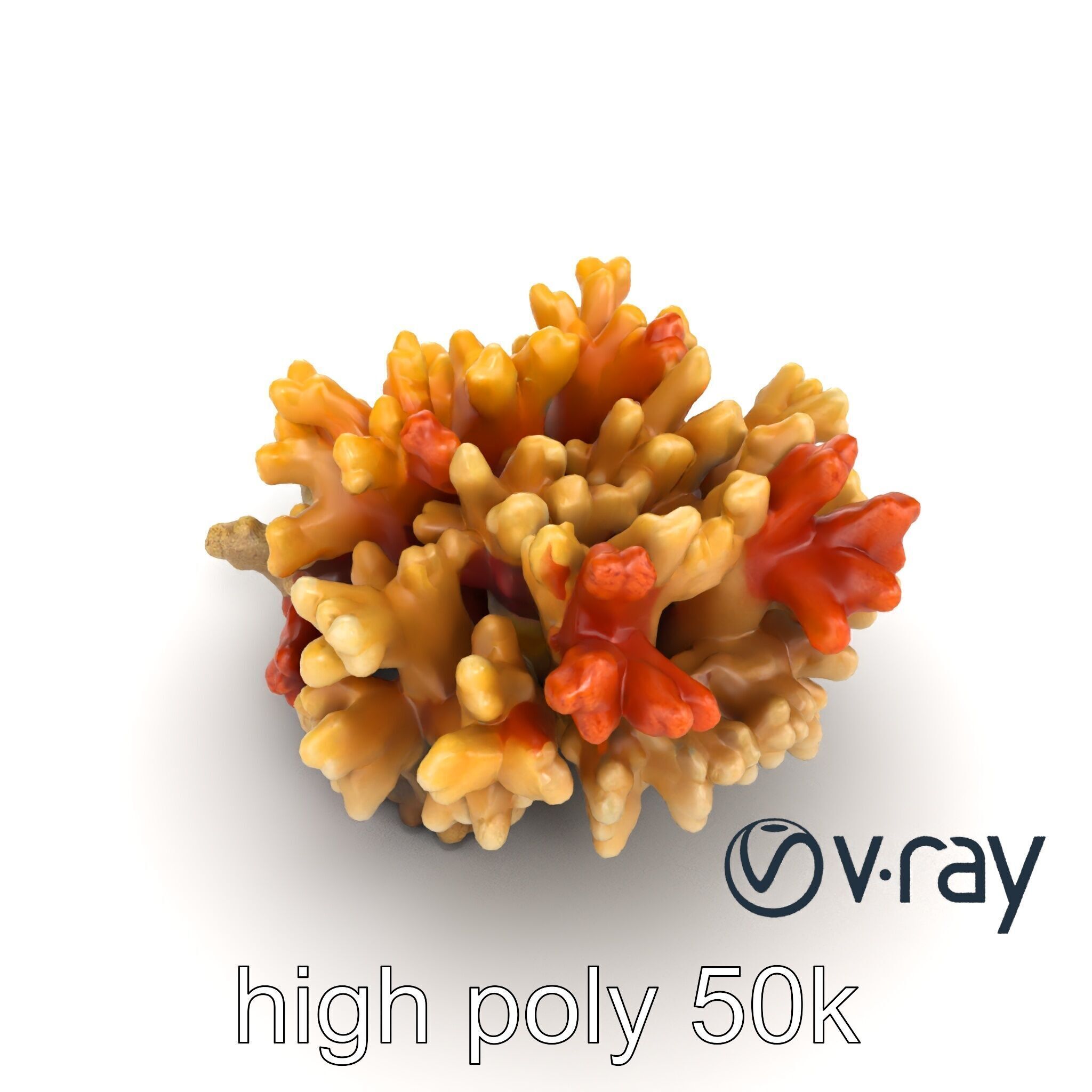 Cluster of Corals with Varied Textures Model Pack Low-poly 3D model_13