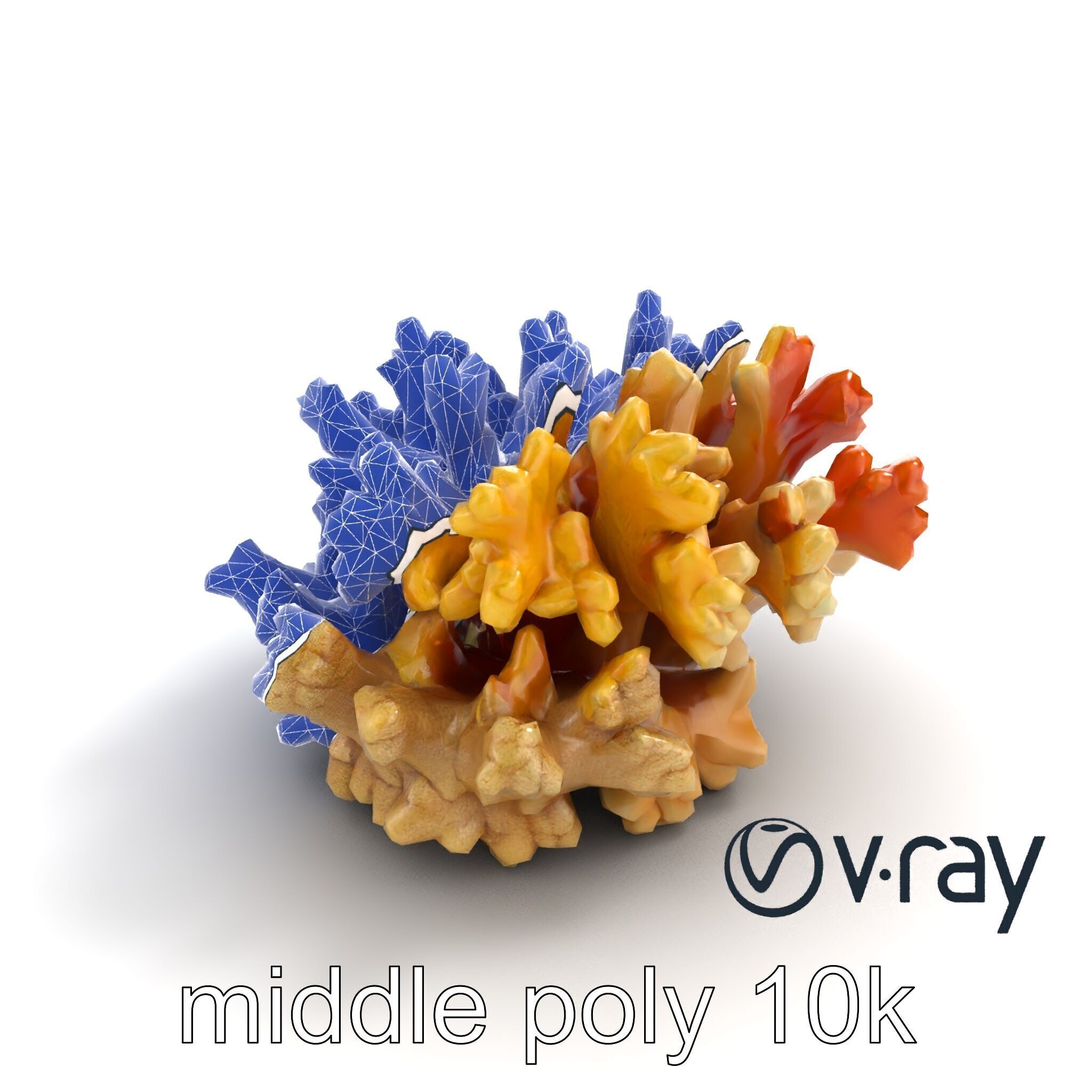 Cluster of Corals with Varied Textures Model Pack Low-poly 3D model_26