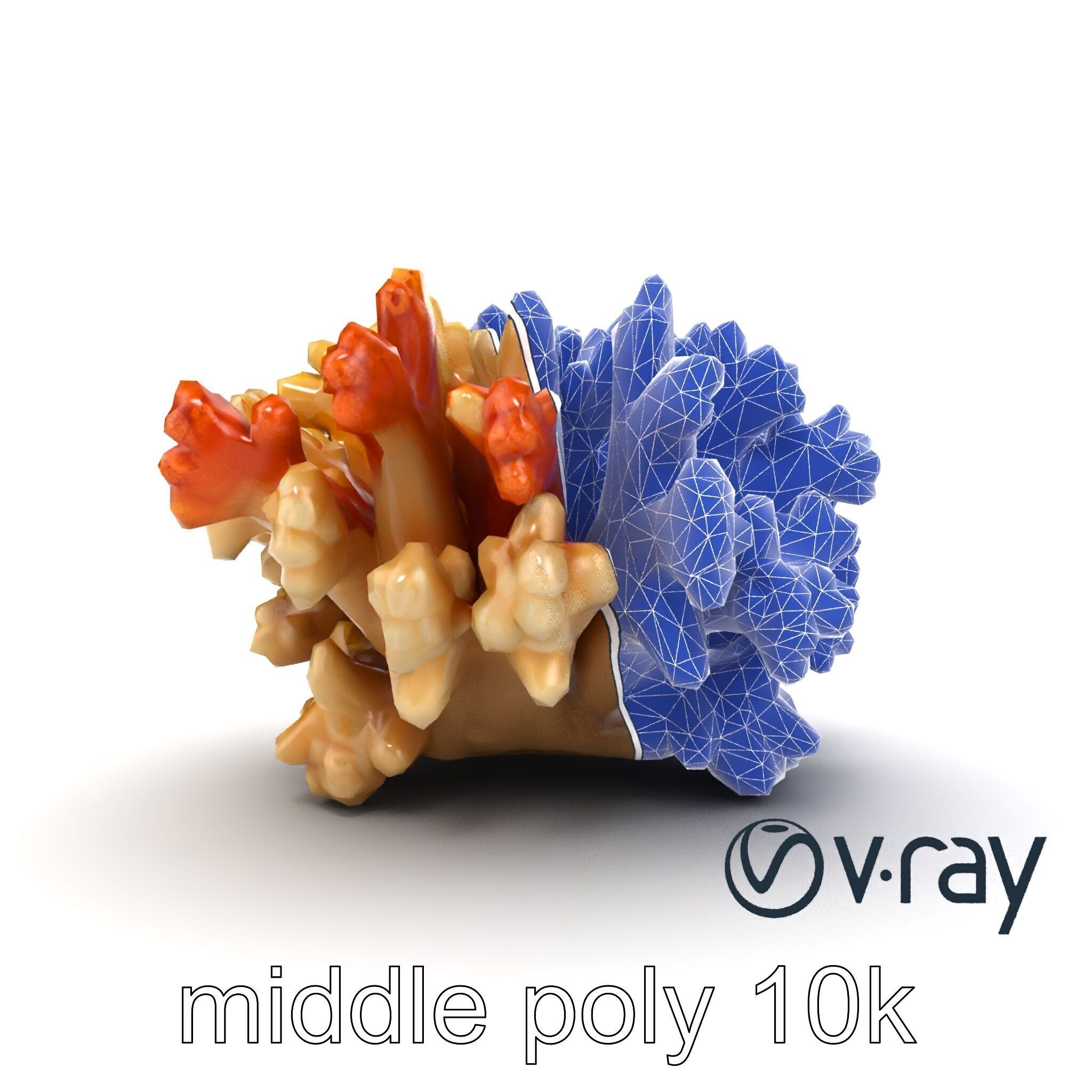 Cluster of Corals with Varied Textures Model Pack Low-poly 3D model_28