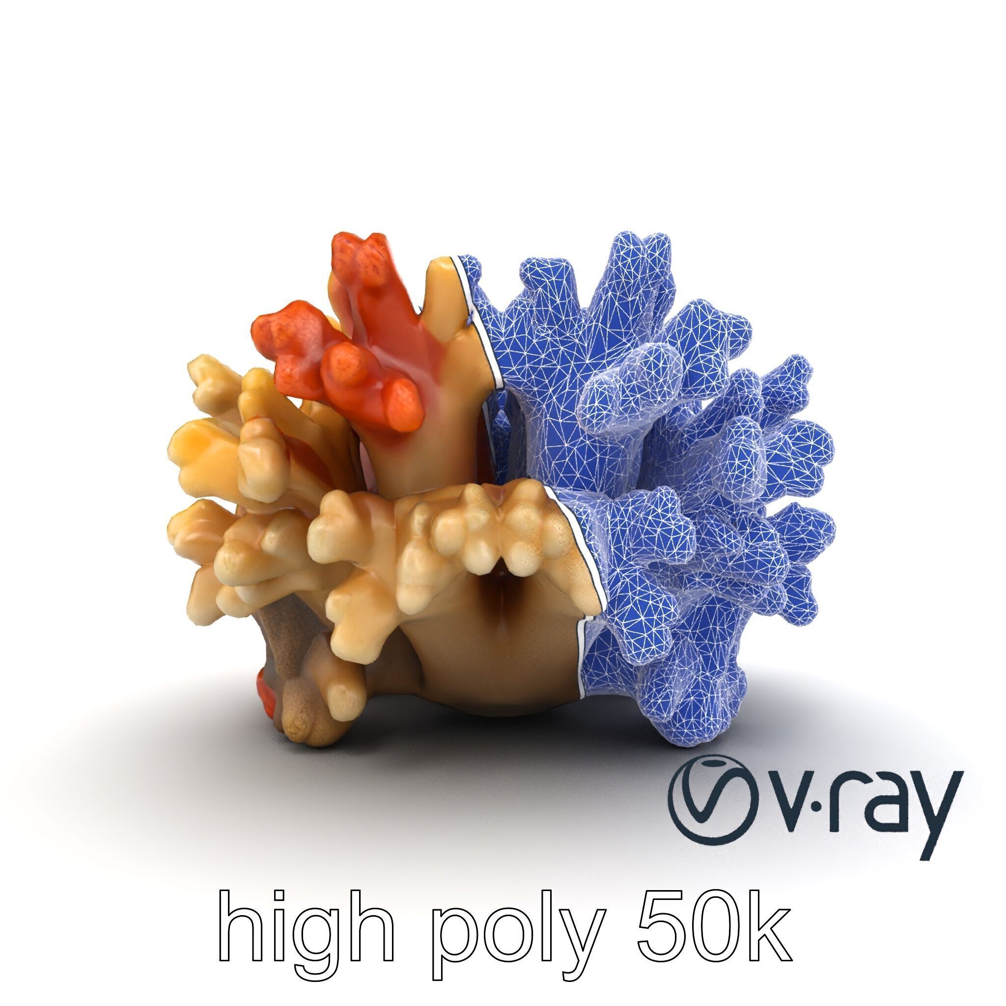 Cluster of Corals with Varied Textures Model Pack Low-poly 3D model_27