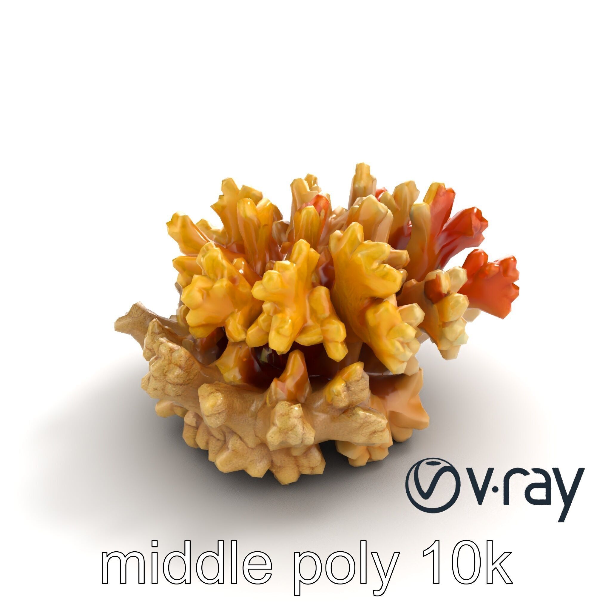 Cluster of Corals with Varied Textures Model Pack Low-poly 3D model_4