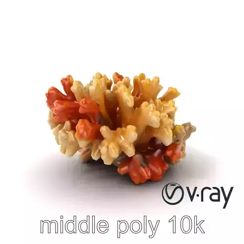 Cluster of Corals with Varied Textures Model Pack