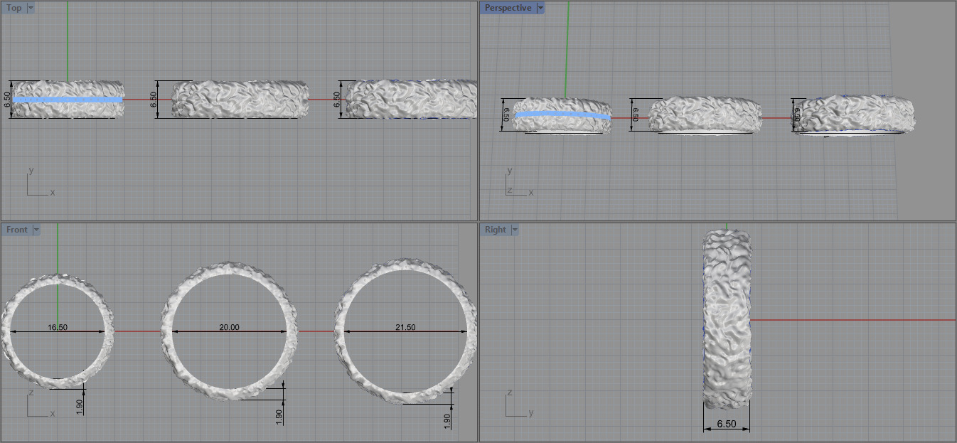 Rings 17052 3D print model_6