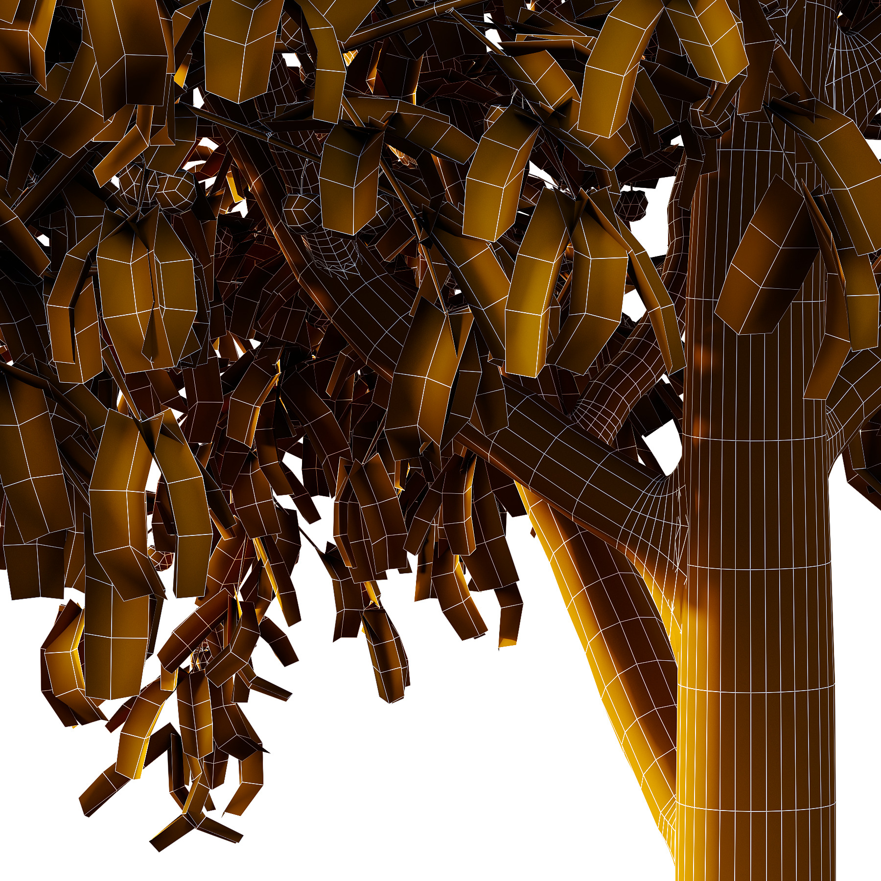 Prunus pseudocerasus Fruit Tree 01 3D model_4
