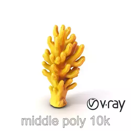 Fan-Shaped Coral Reef Structure model pack