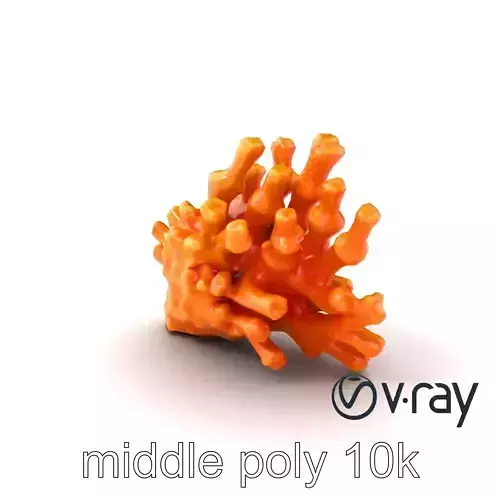 Single Coral Fan Shape Textured Vibrant Model Pack