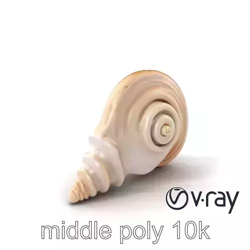 Spiral Seashell Natural Design model pack