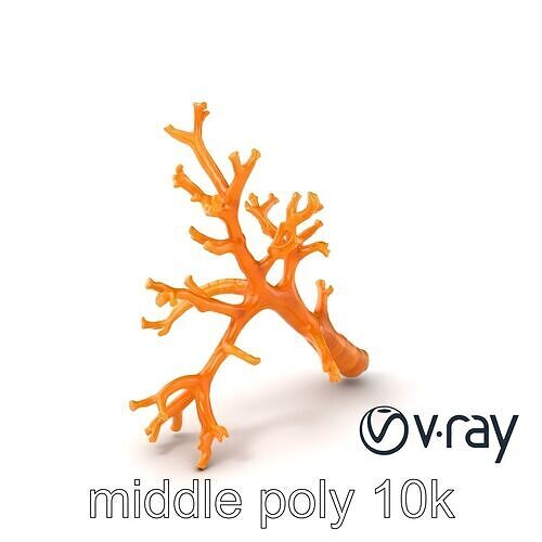 Branching Coral Textured Surface Model Pack Low-poly 3D model
