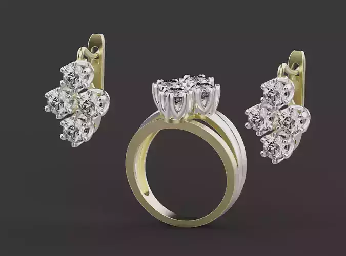Rings and Earrings 67271
