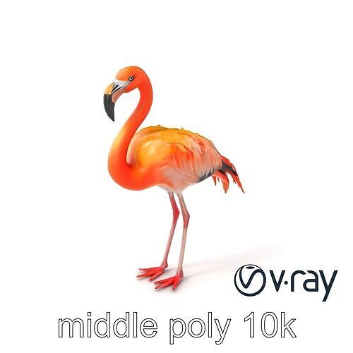 Flamingo Tropical Creature model pack Low-poly 3D model