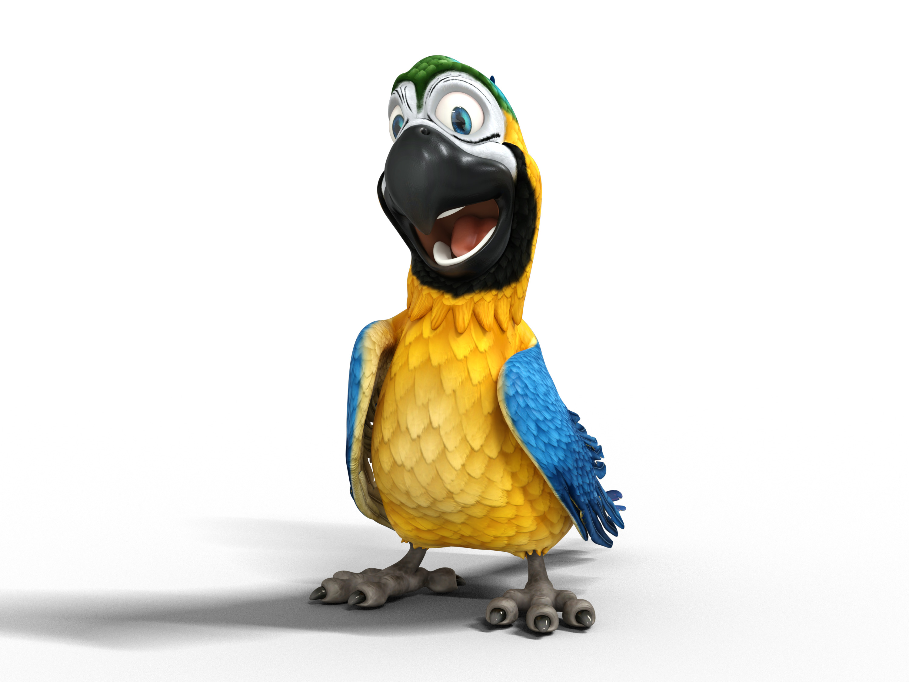 Macaw Parrot Rigged Low-poly 3D model_3