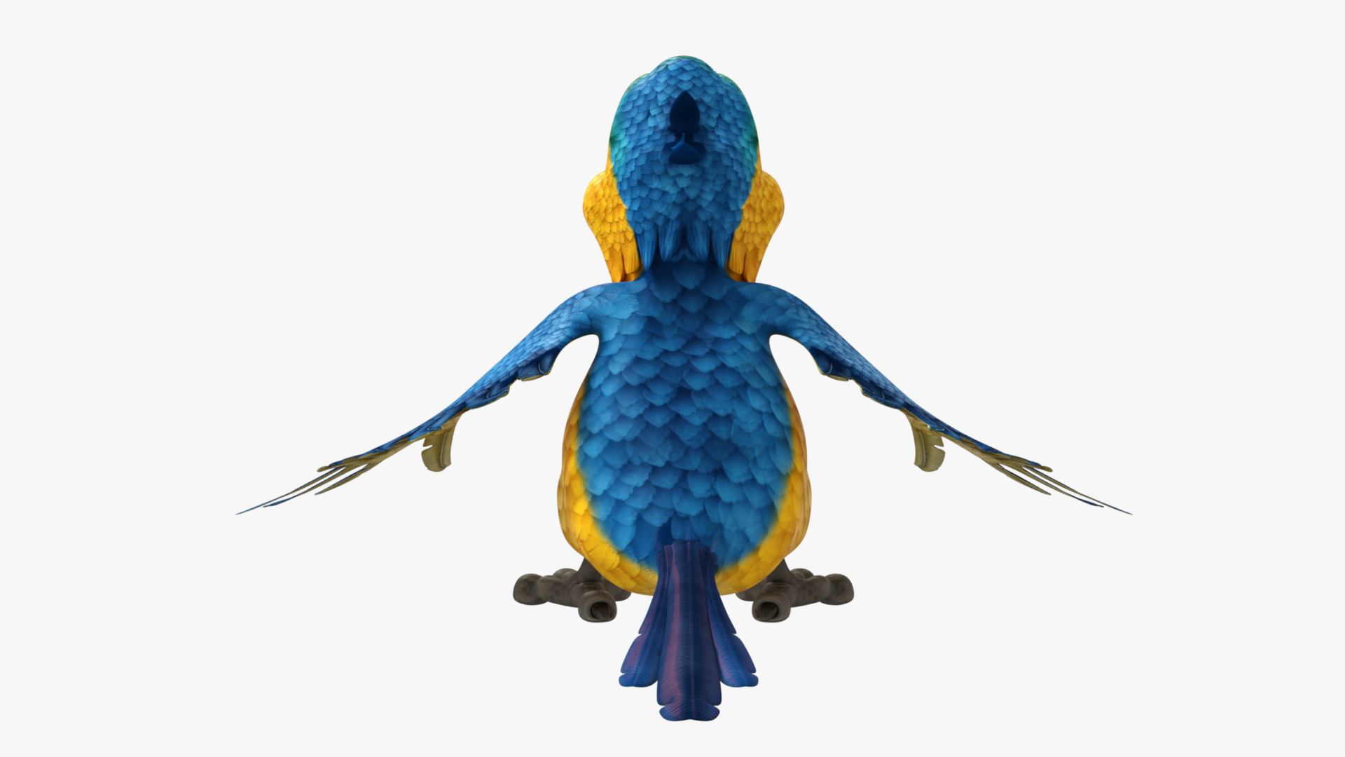 Macaw Parrot Rigged Low-poly 3D model_8