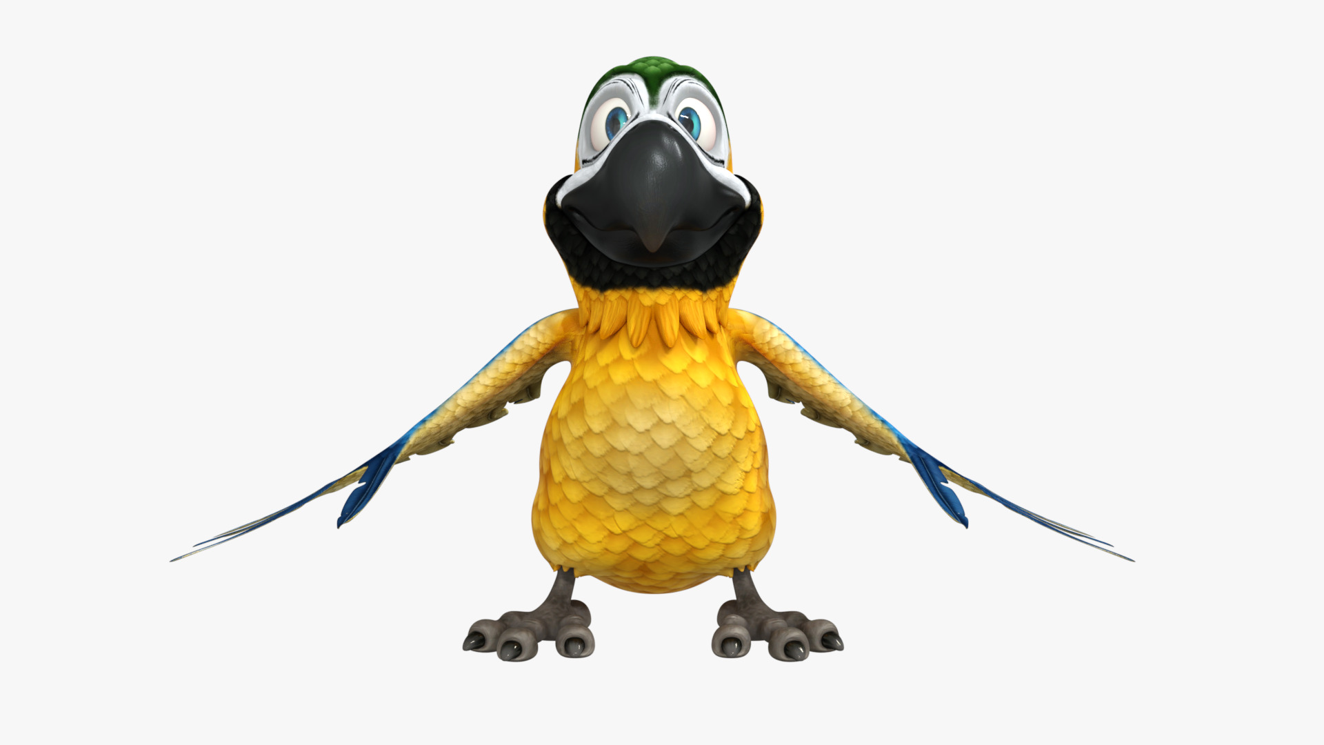 Macaw Parrot Rigged Low-poly 3D model_9