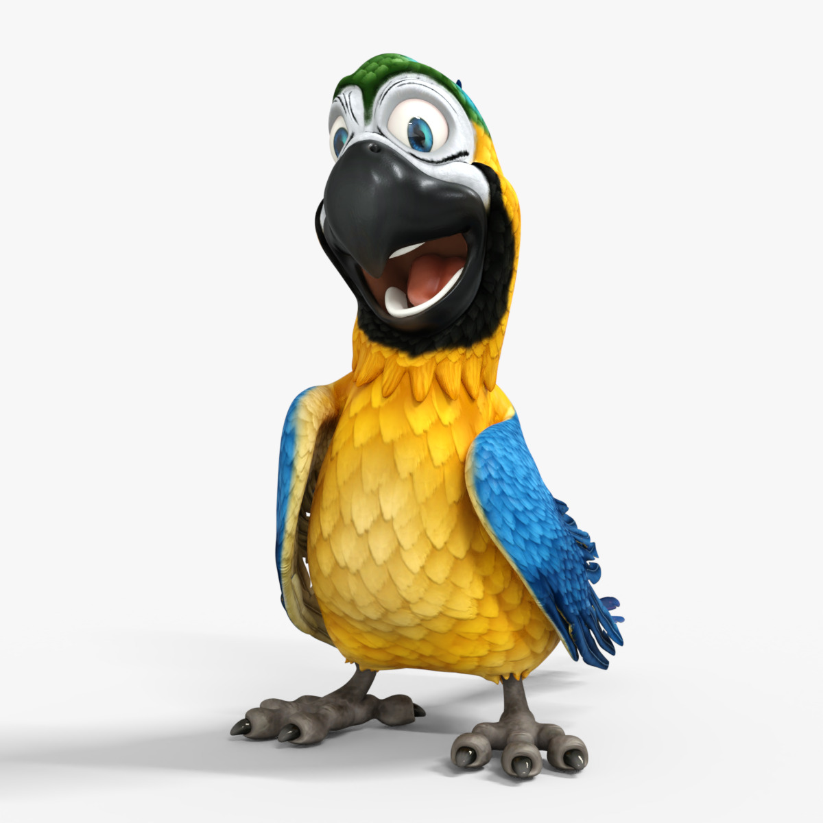 Macaw Parrot Rigged Low-poly 3D model_11