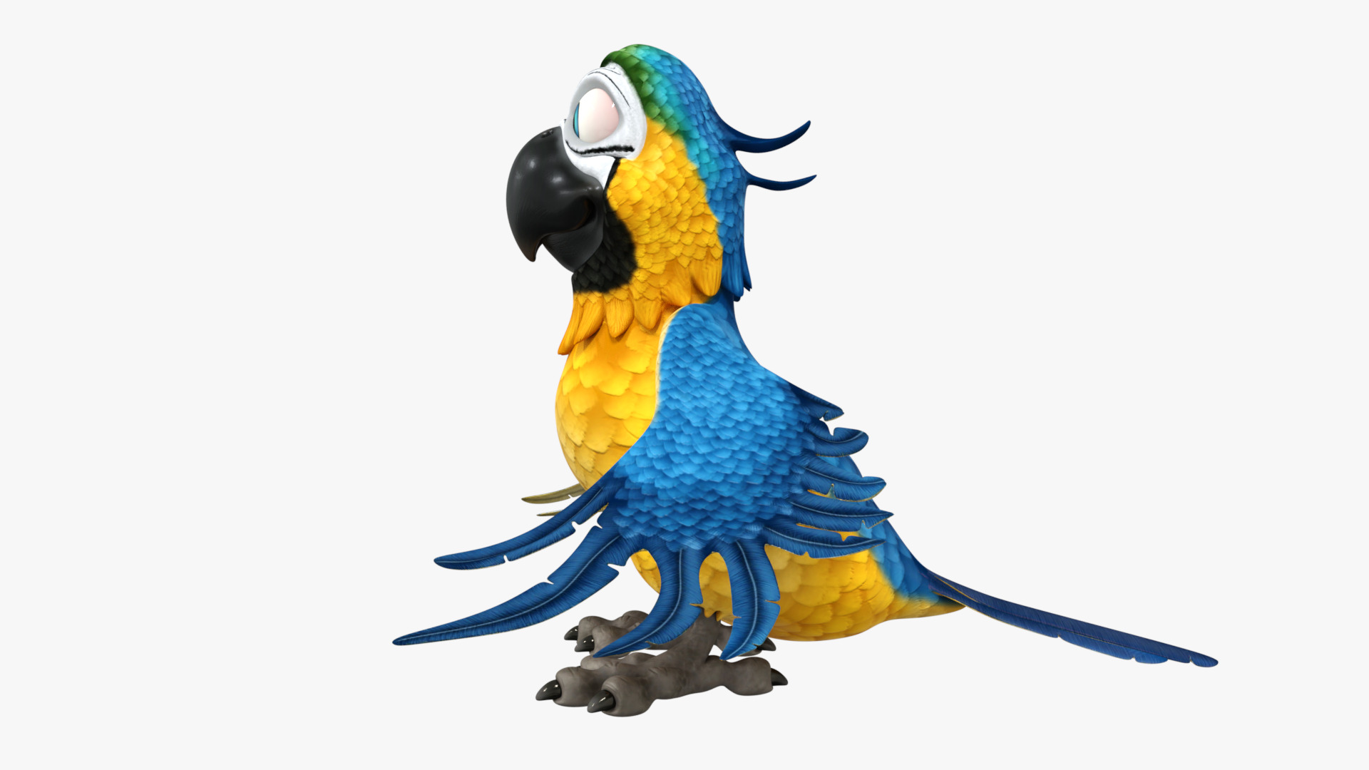 Macaw Parrot Rigged Low-poly 3D model_6