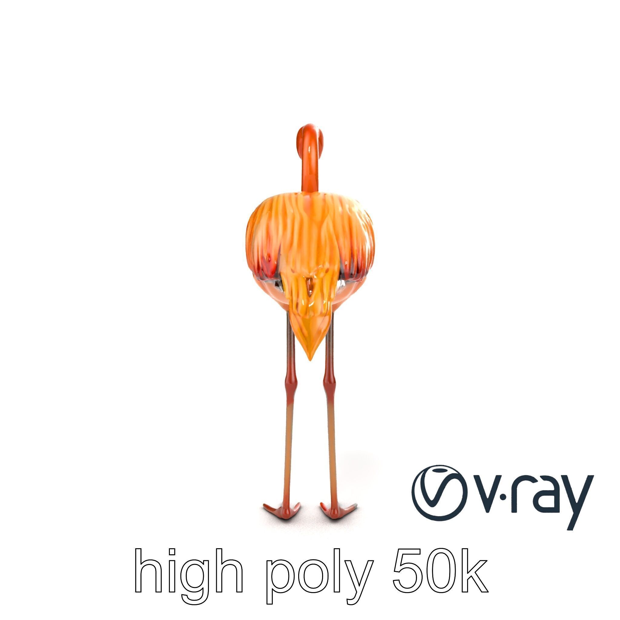 Flamingo Bird Natural Pink model pack Low-poly 3D model_22