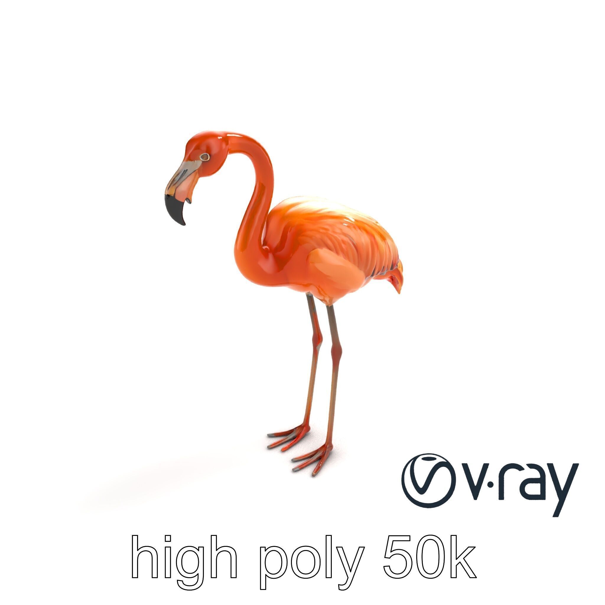 Flamingo Bird Natural Pink model pack Low-poly 3D model_23