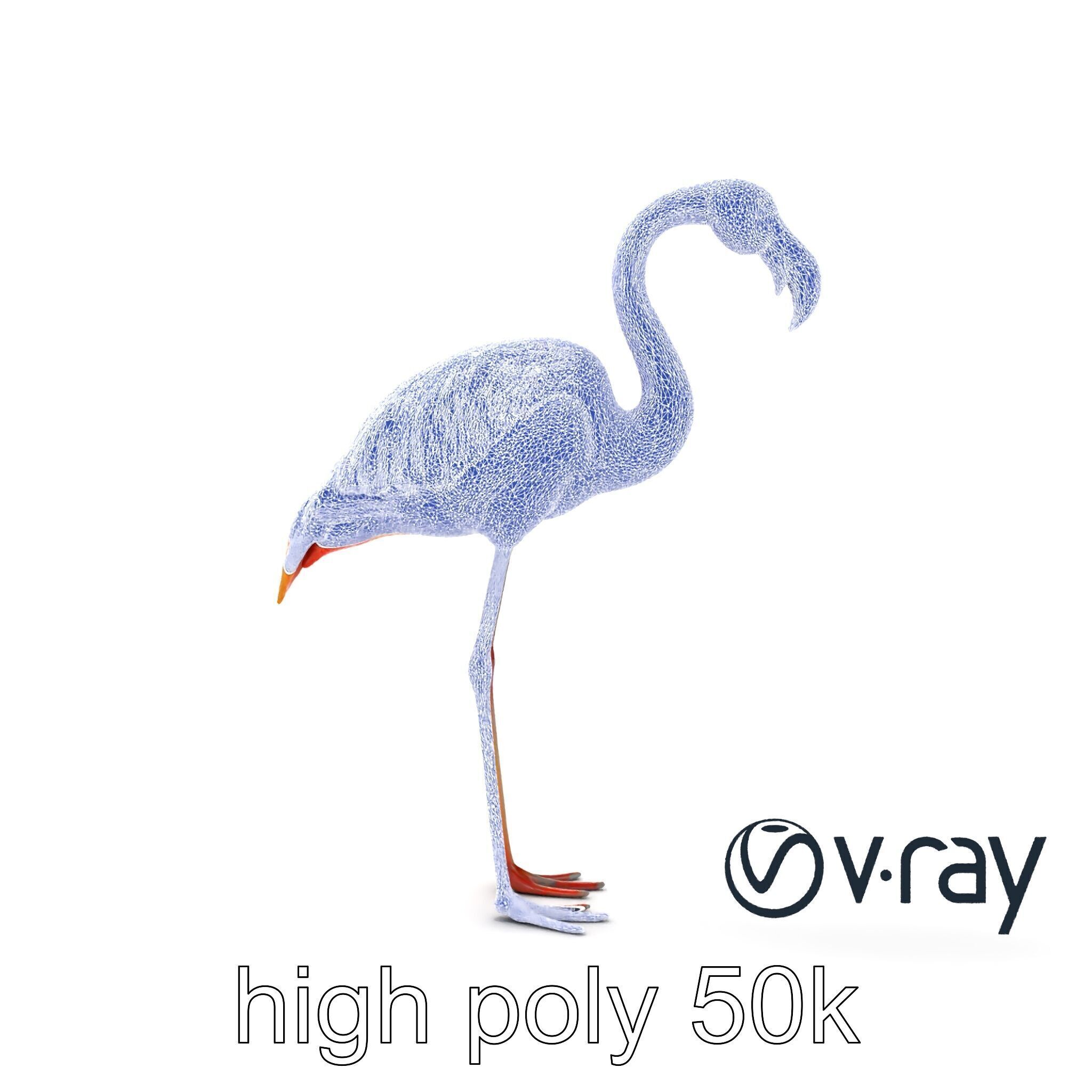 Flamingo Bird Natural Pink model pack Low-poly 3D model_21
