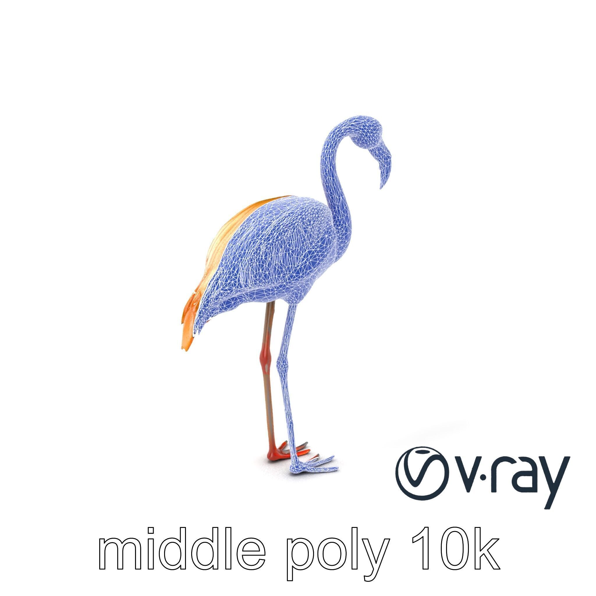 Flamingo Bird Natural Pink model pack Low-poly 3D model_4