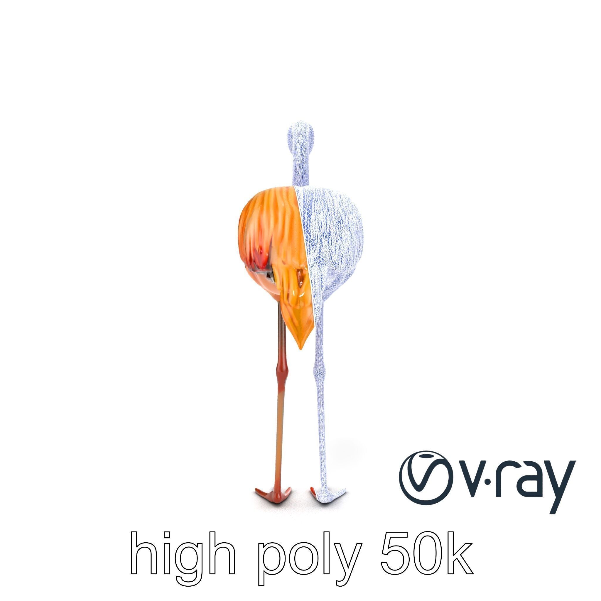 Flamingo Bird Natural Pink model pack Low-poly 3D model_16