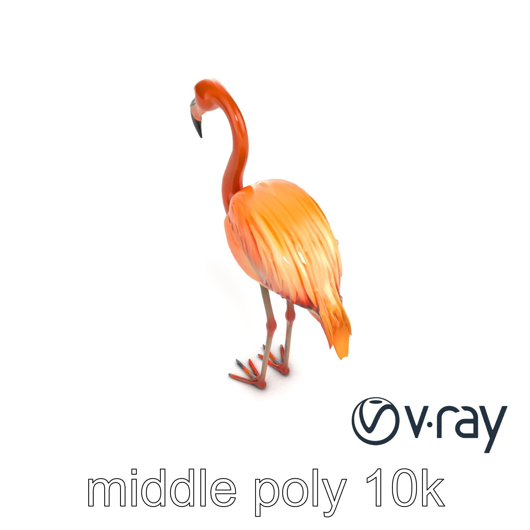 Flamingo Bird Natural Pink model pack Low-poly 3D model_31