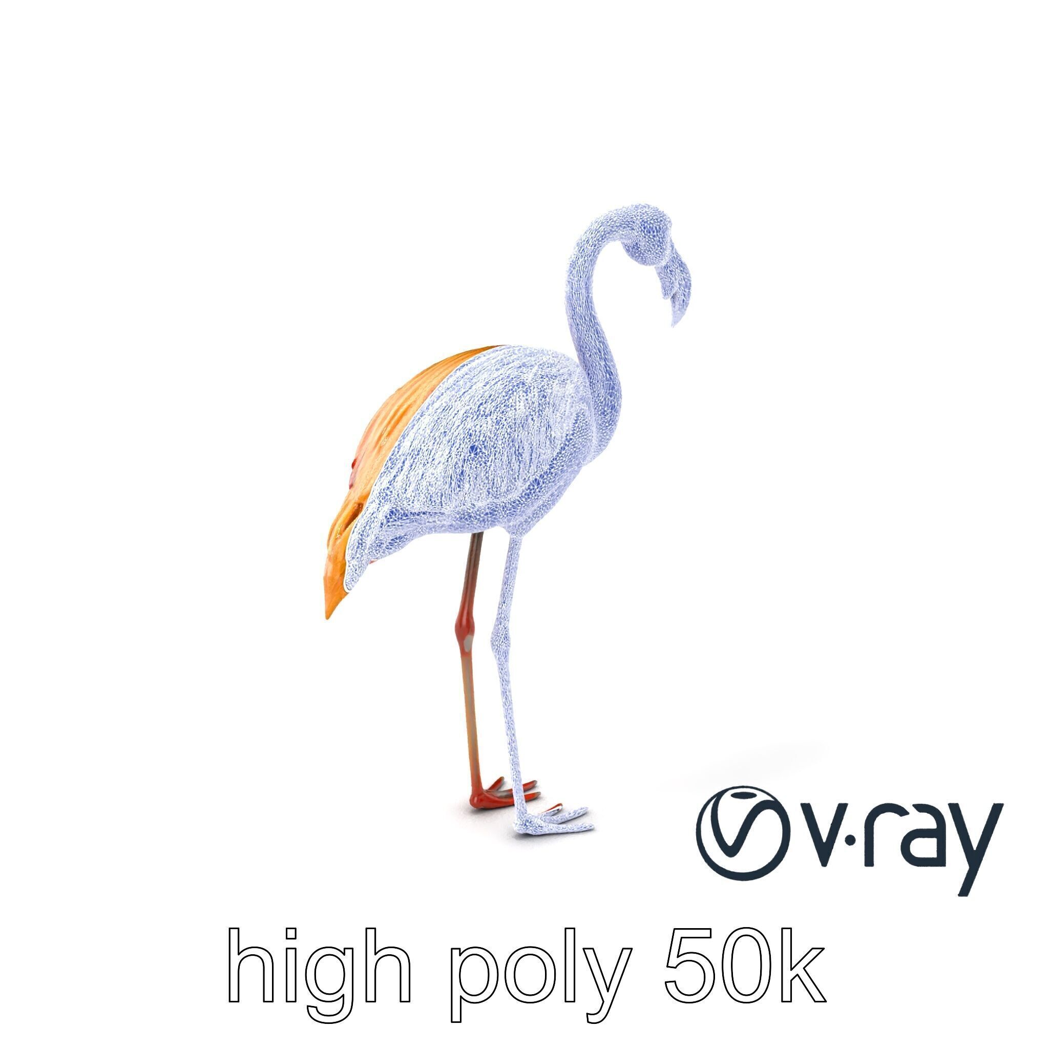Flamingo Bird Natural Pink model pack Low-poly 3D model_9