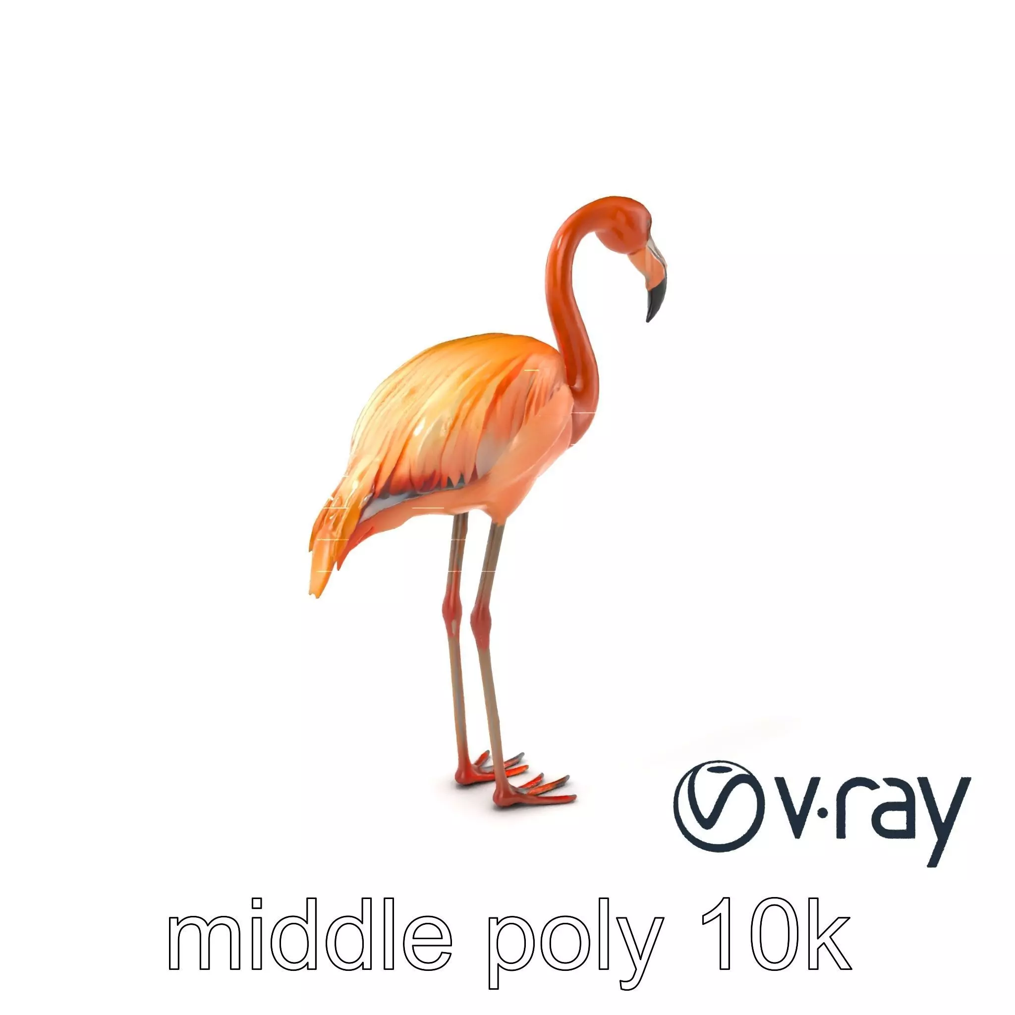 Flamingo Bird Natural Pink model pack Low-poly 3D model_0