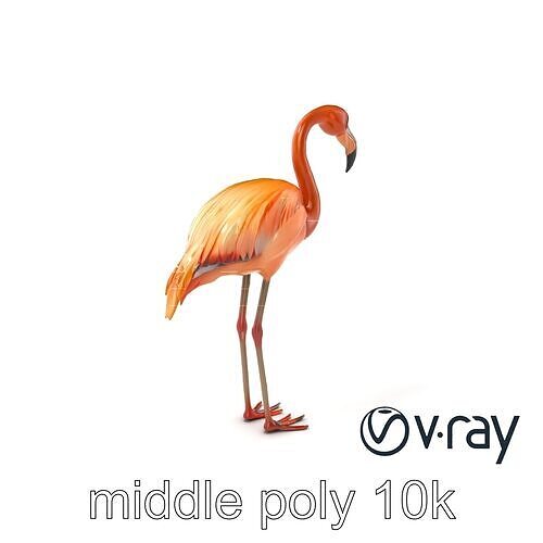 Flamingo Bird Natural Pink model pack Low-poly 3D model