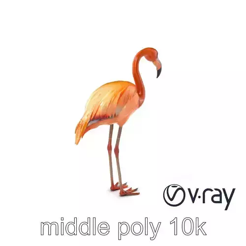 Flamingo Bird Natural Pink model pack Low-poly 3D model