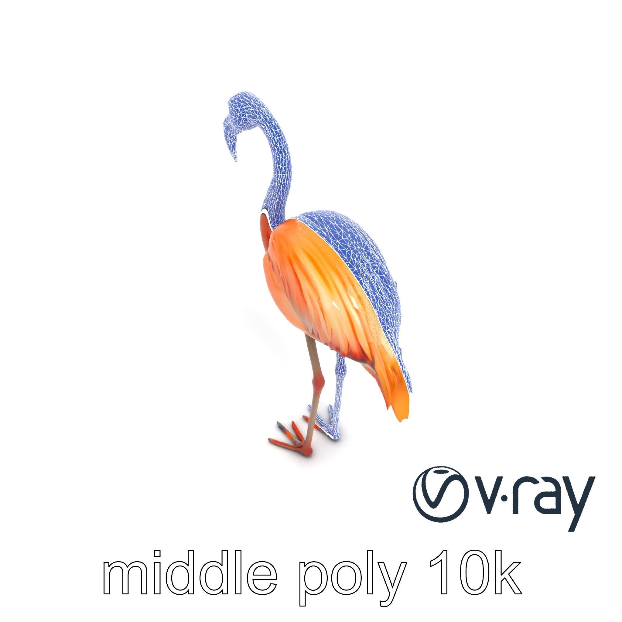 Flamingo Bird Natural Pink model pack Low-poly 3D model_28