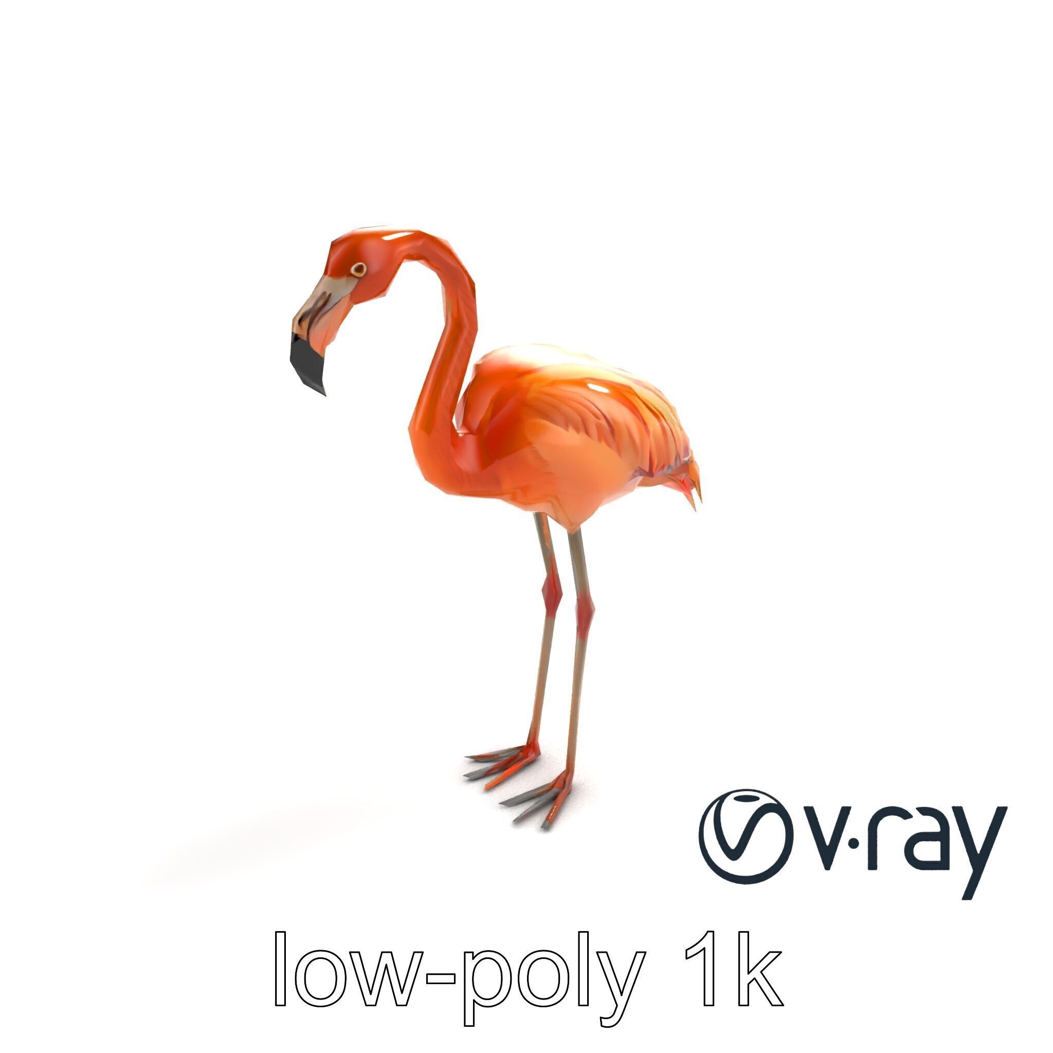 Flamingo Bird Natural Pink model pack Low-poly 3D model_5