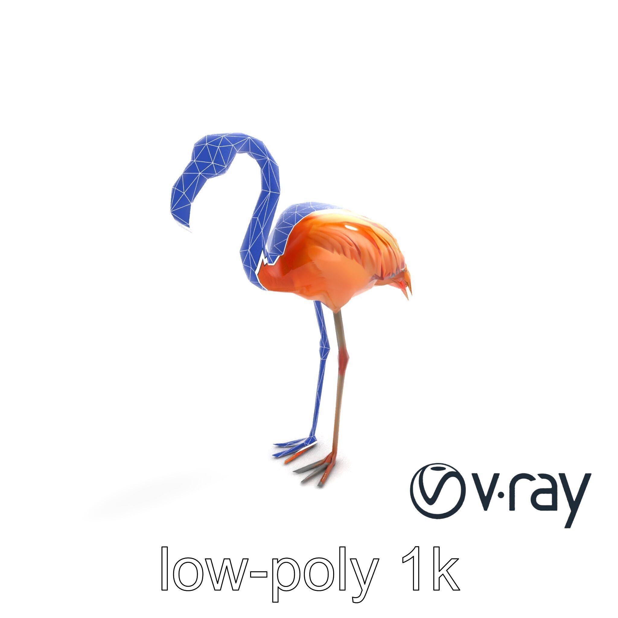 Flamingo Bird Natural Pink model pack Low-poly 3D model_19