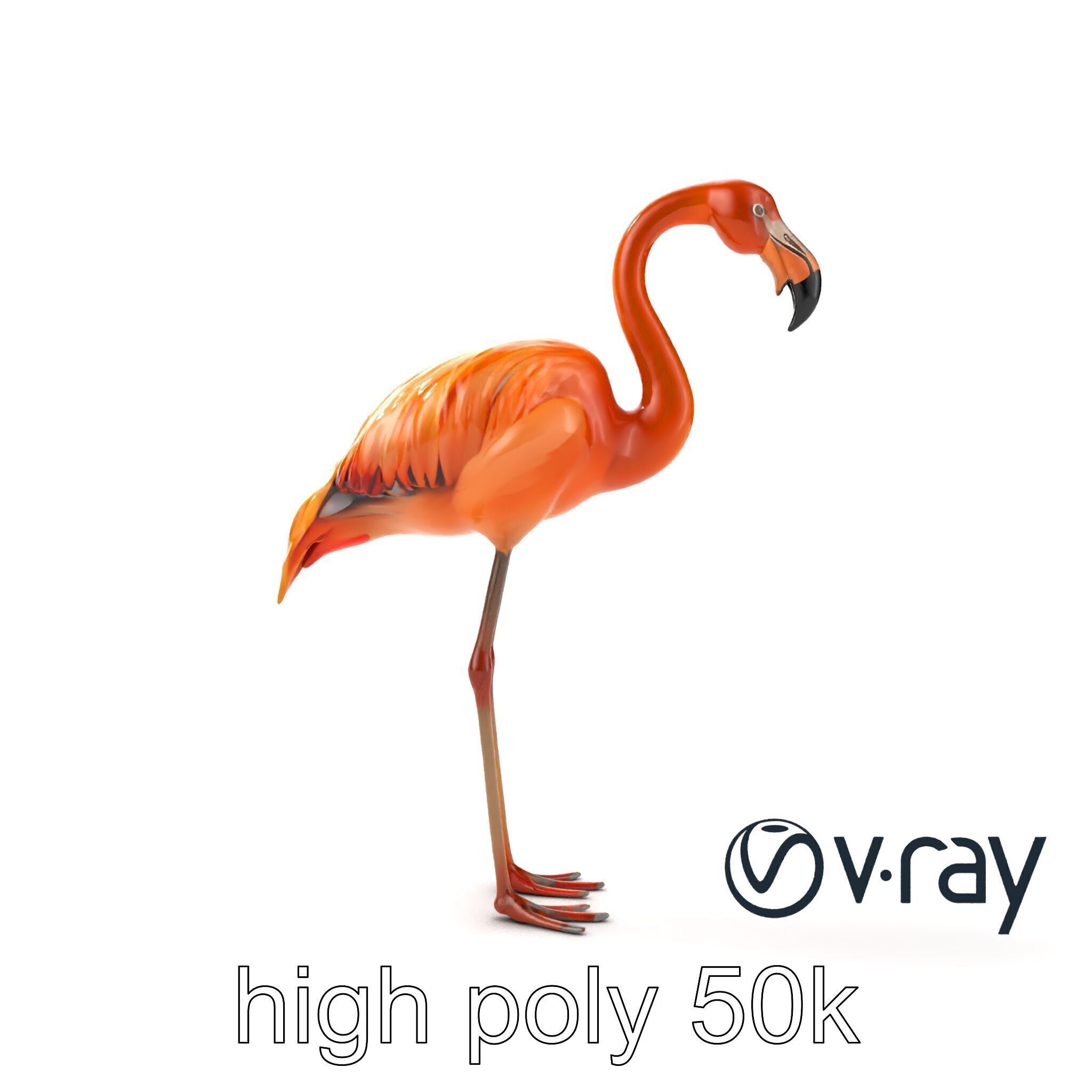 Flamingo Bird Natural Pink model pack Low-poly 3D model_11