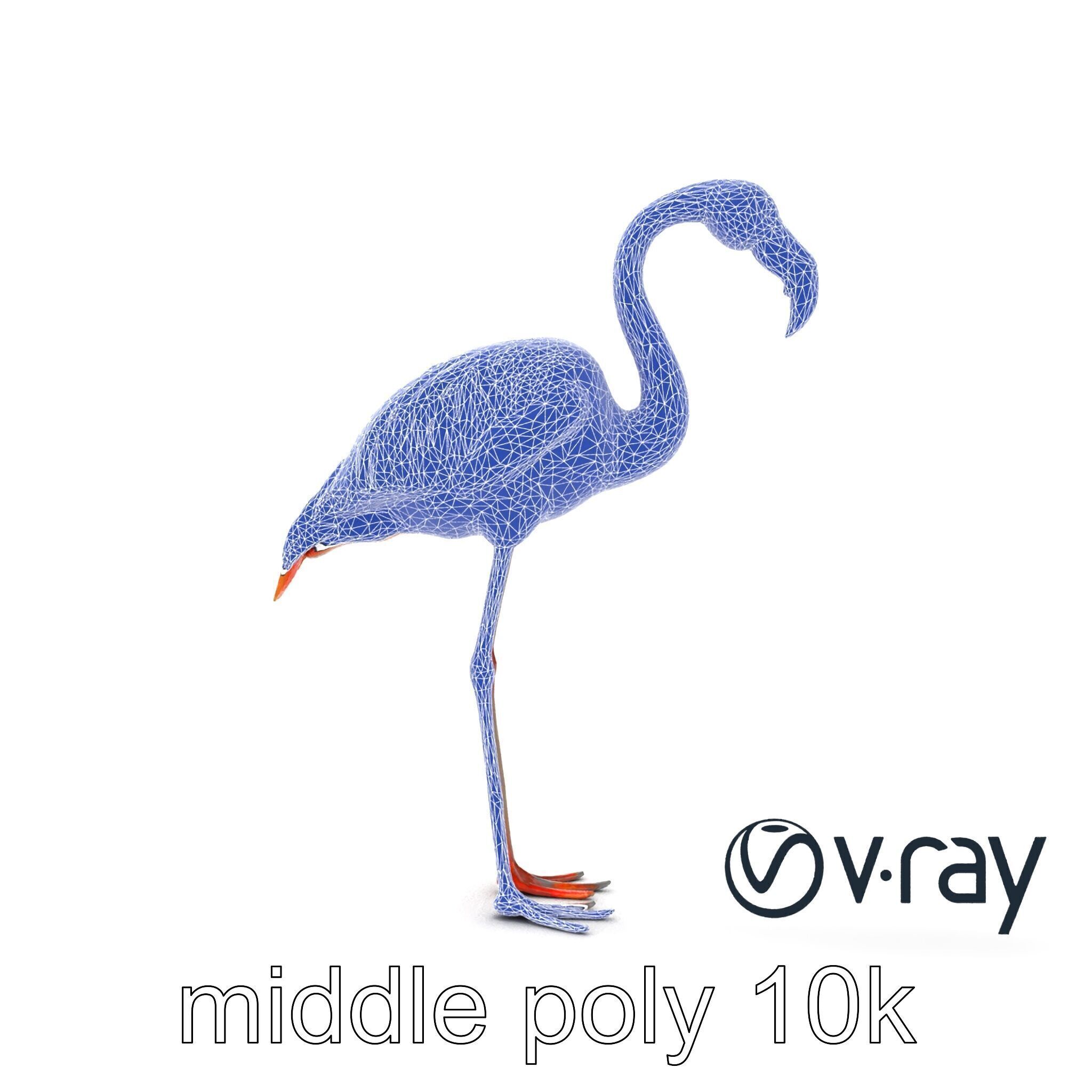 Flamingo Bird Natural Pink model pack Low-poly 3D model_30