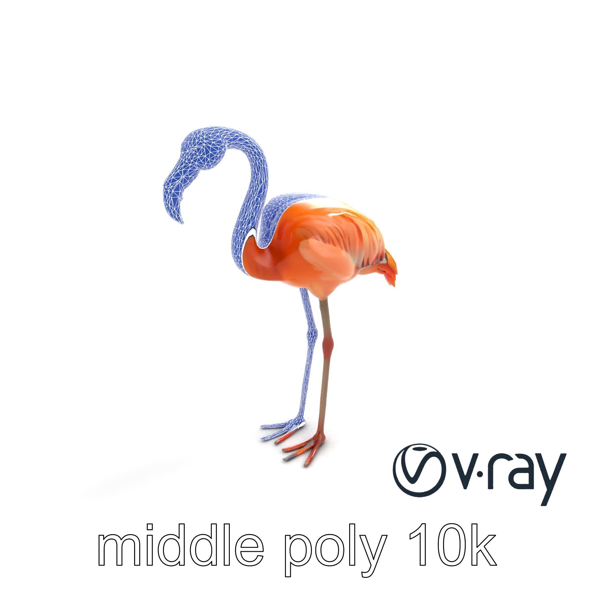 Flamingo Bird Natural Pink model pack Low-poly 3D model_10