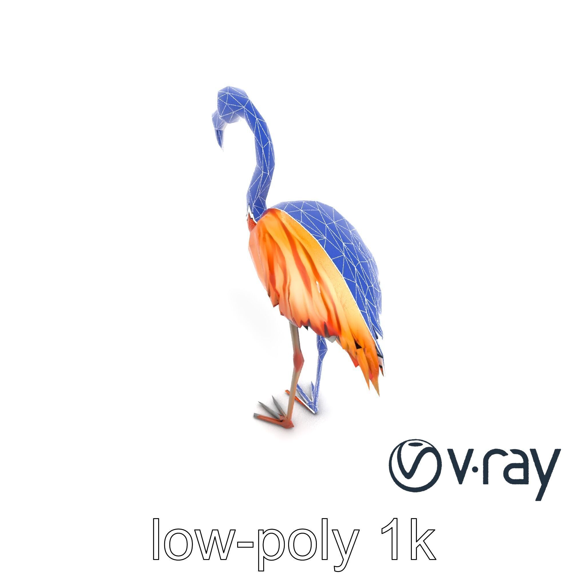 Flamingo Bird Natural Pink model pack Low-poly 3D model_13